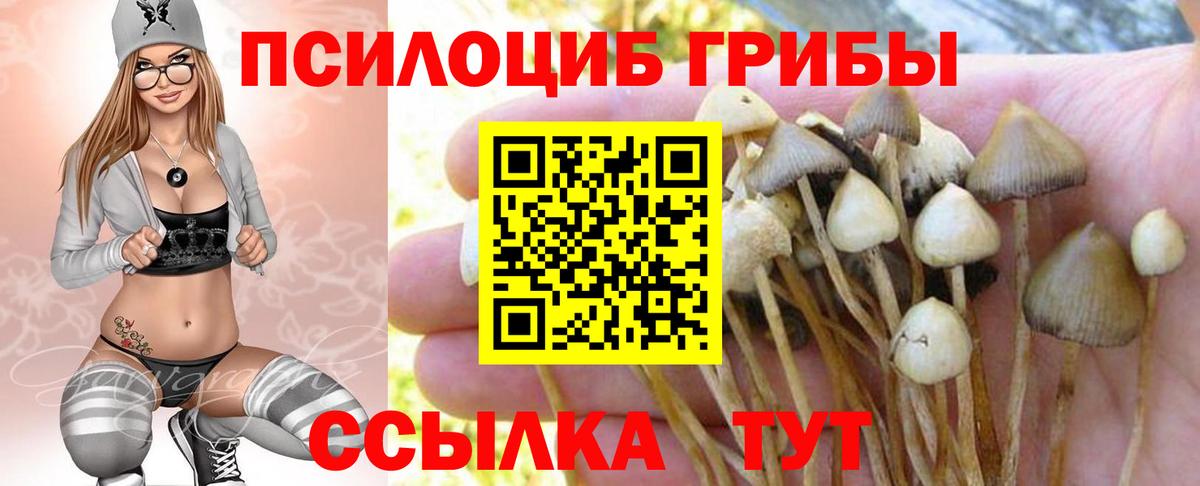 Знаменск  Галлюциногенные грибы Cubensis  Вход с VPN 