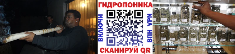 Бошки марихуана марихуана  Знаменск 