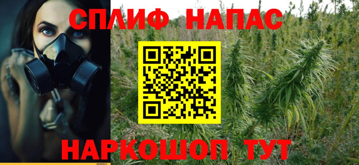 Знаменск  Конопля OG Kush  Вход с VPN  Шишки марихуана ГИДРОПОН  Марихуана Ganja 